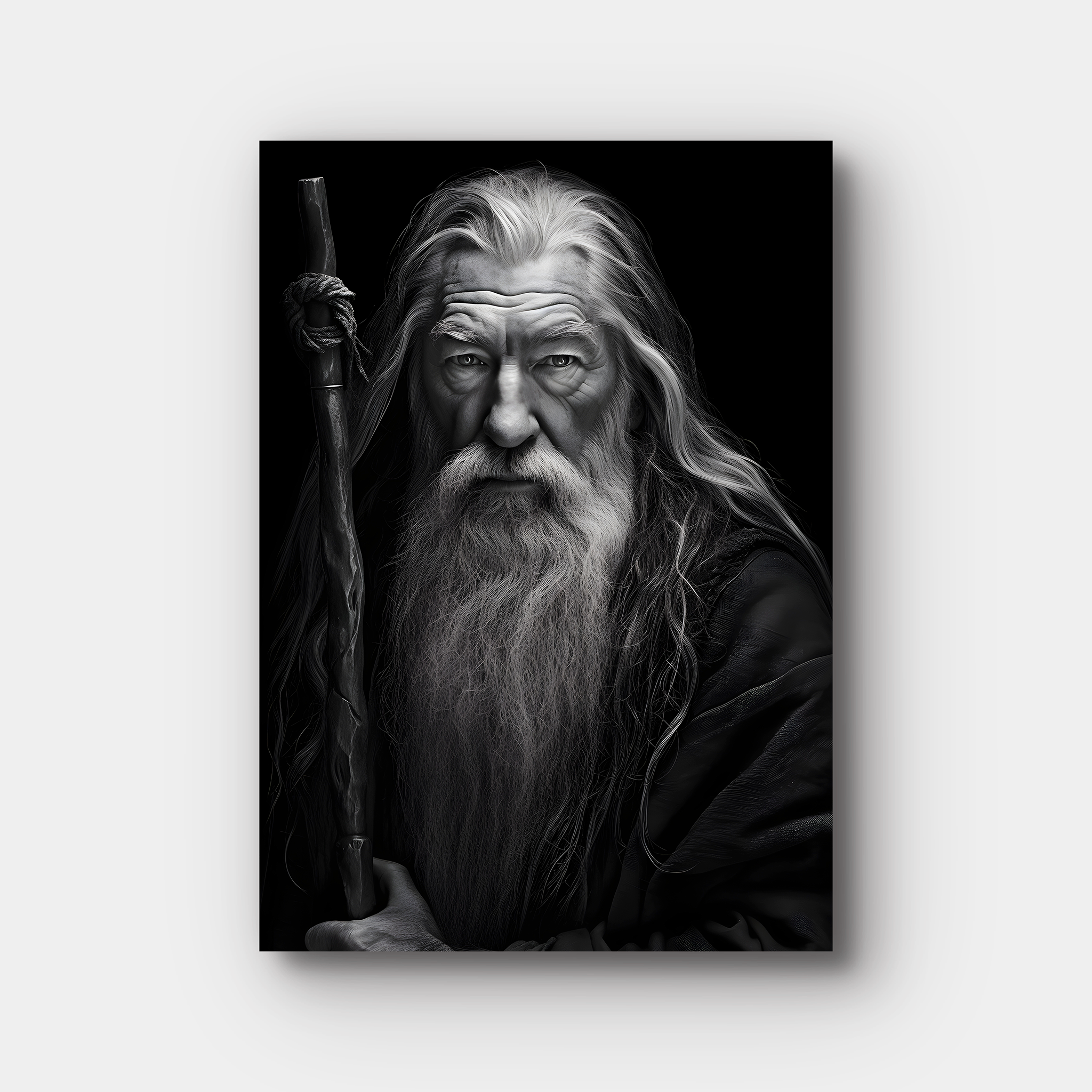 Gandalf Monochromatic Portrait