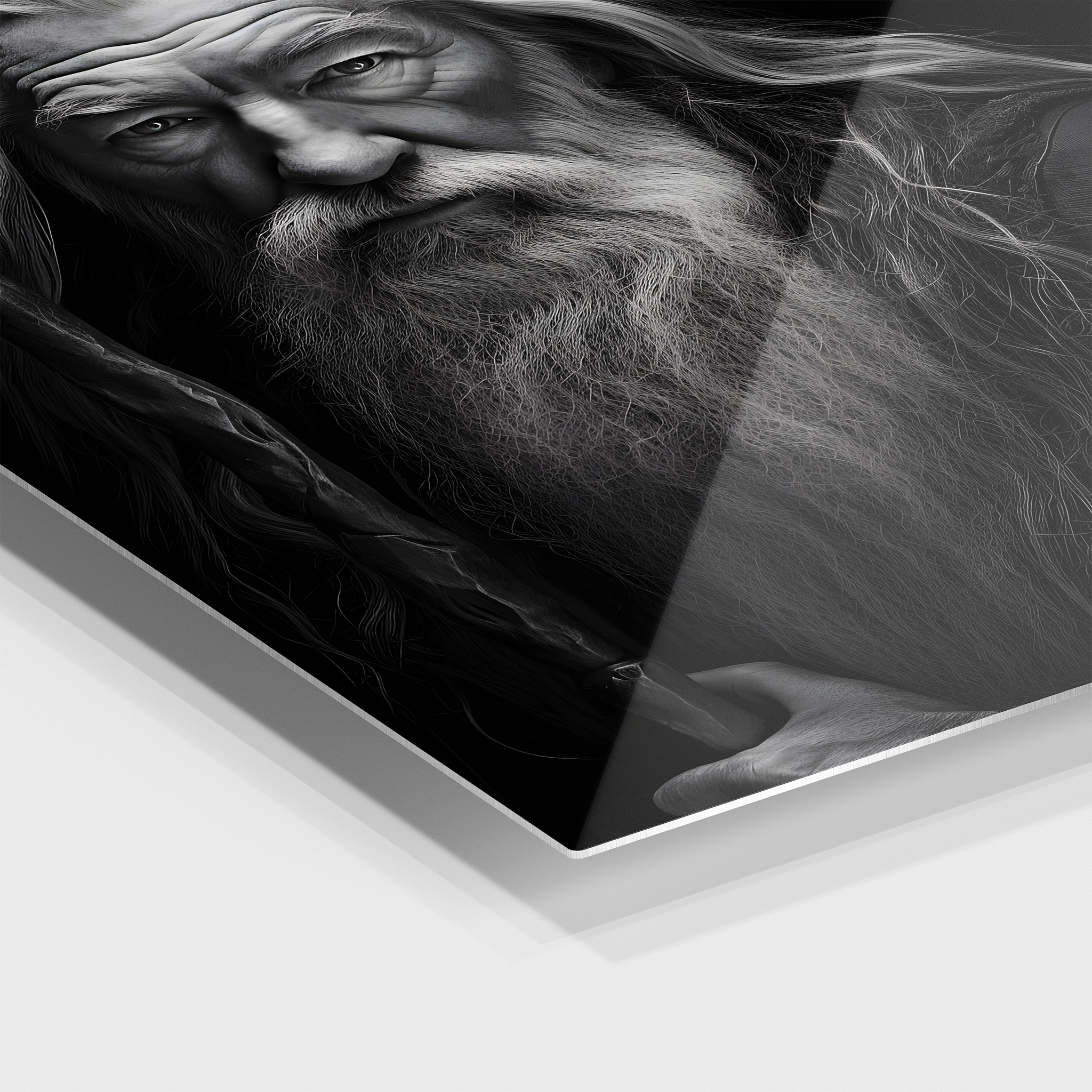 Gandalf Monochromatic Portrait
